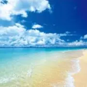 海の画像