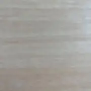 晴れの陽の画像