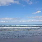 きりんの画像