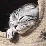 ケン !