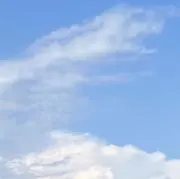 L.の画像