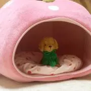 あろ