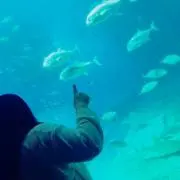 みぃの画像