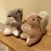 しまりすの画像