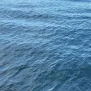 薬指