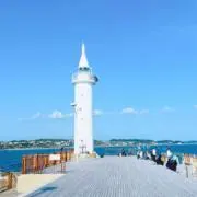 もりの画像