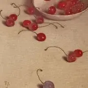 こだますいかの画像