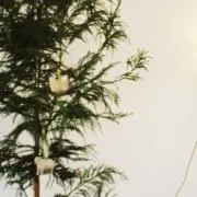 mの画像