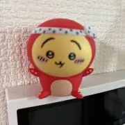 みっちょんの画像
