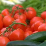 hiza