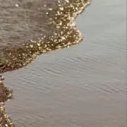 すえみの画像