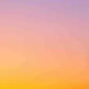 cocoの画像