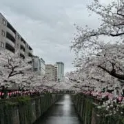 JasonCの画像