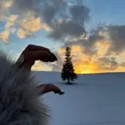 りんごの画像