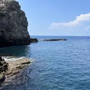 たなゆうの画像