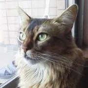 rudy