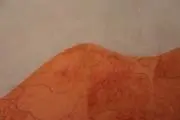 YoPoの画像