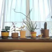 たまちゃん２５２７