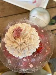 いろはの画像