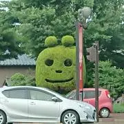 NGT0913の画像