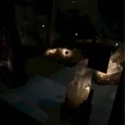 ばっくなんばーの画像