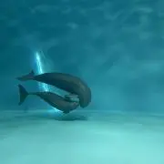 やむちゃんの画像