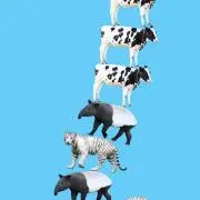 アアアアアの画像