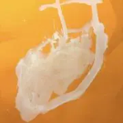 みとの画像