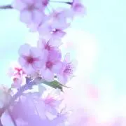 hiro