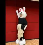 リノの画像