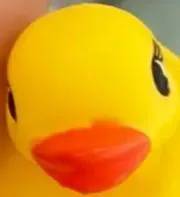 TaTaの画像