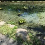 みーの画像