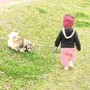 しんちゃん