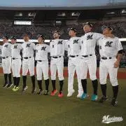 いんでぃごばれーの画像