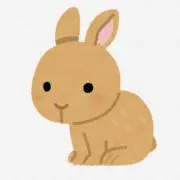 虹