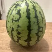 文の画像