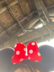 miiの画像