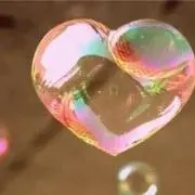 パンプキンの画像
