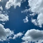 nnの画像