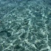bubbleの画像