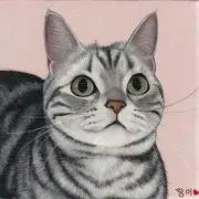 hikaruの画像
