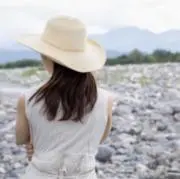 ミズキの画像