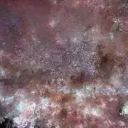 SAKURAの画像