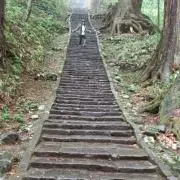 syuzei2002の画像