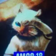たつやん