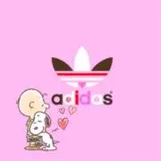 kaboの画像