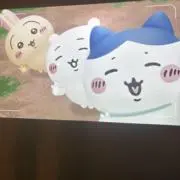 ハチワレおたくの画像