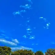 キャンポケの画像