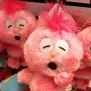 yuの画像