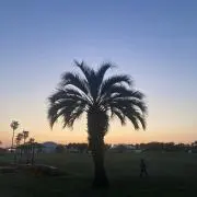 crrの画像